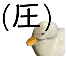 768977410