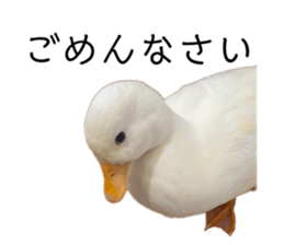 768977413