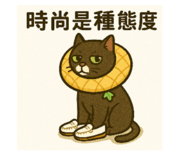 768998771
