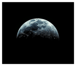 769004125