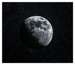 769004126