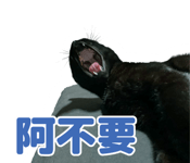 769047185