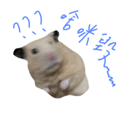 769050089