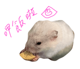 769050090