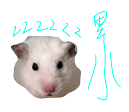 769050093