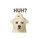 769050444
