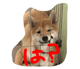 769059315