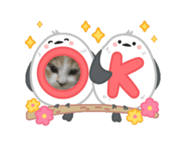 769077066
