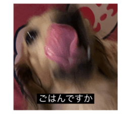769081586