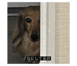 769081588