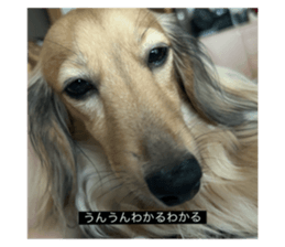 769081590