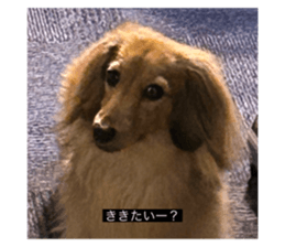 769081592
