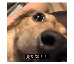 769081596