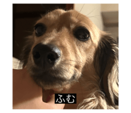 769081598
