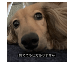 769081601