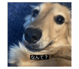 769081602