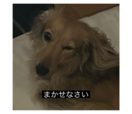 769081603