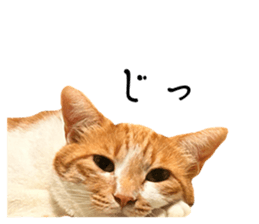 769103156
