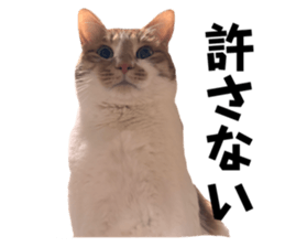 769103158