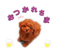769104071