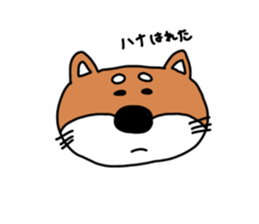 769104897