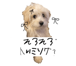 769117570