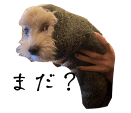 769117581