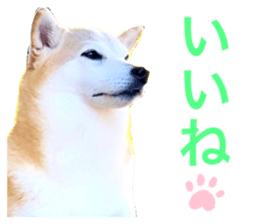 769122846