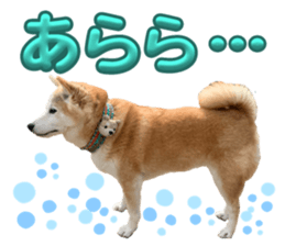 769122855