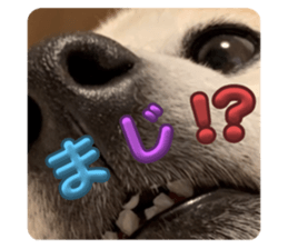 769122860