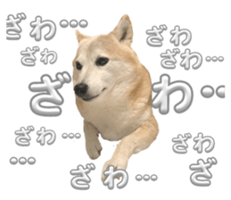 769122861