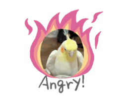 769140917