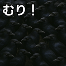 769147762