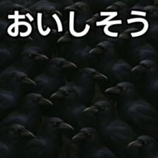 769147792