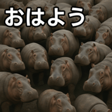 769147806