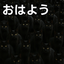 769148014