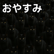 769148015