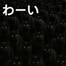 769148022