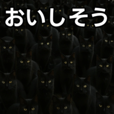 769148048