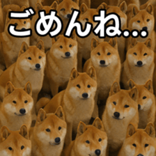 769148732