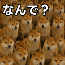 769148733