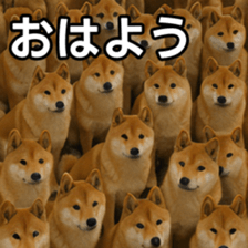 769148734