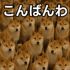 769148746