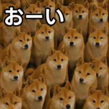 769148756
