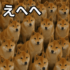 769148764