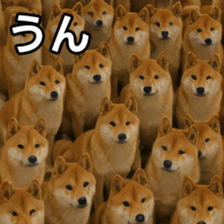 769148766