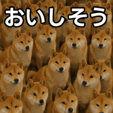 769148768