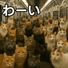 769149206