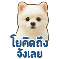 769165977