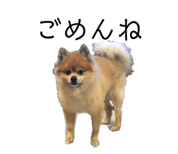 769167236